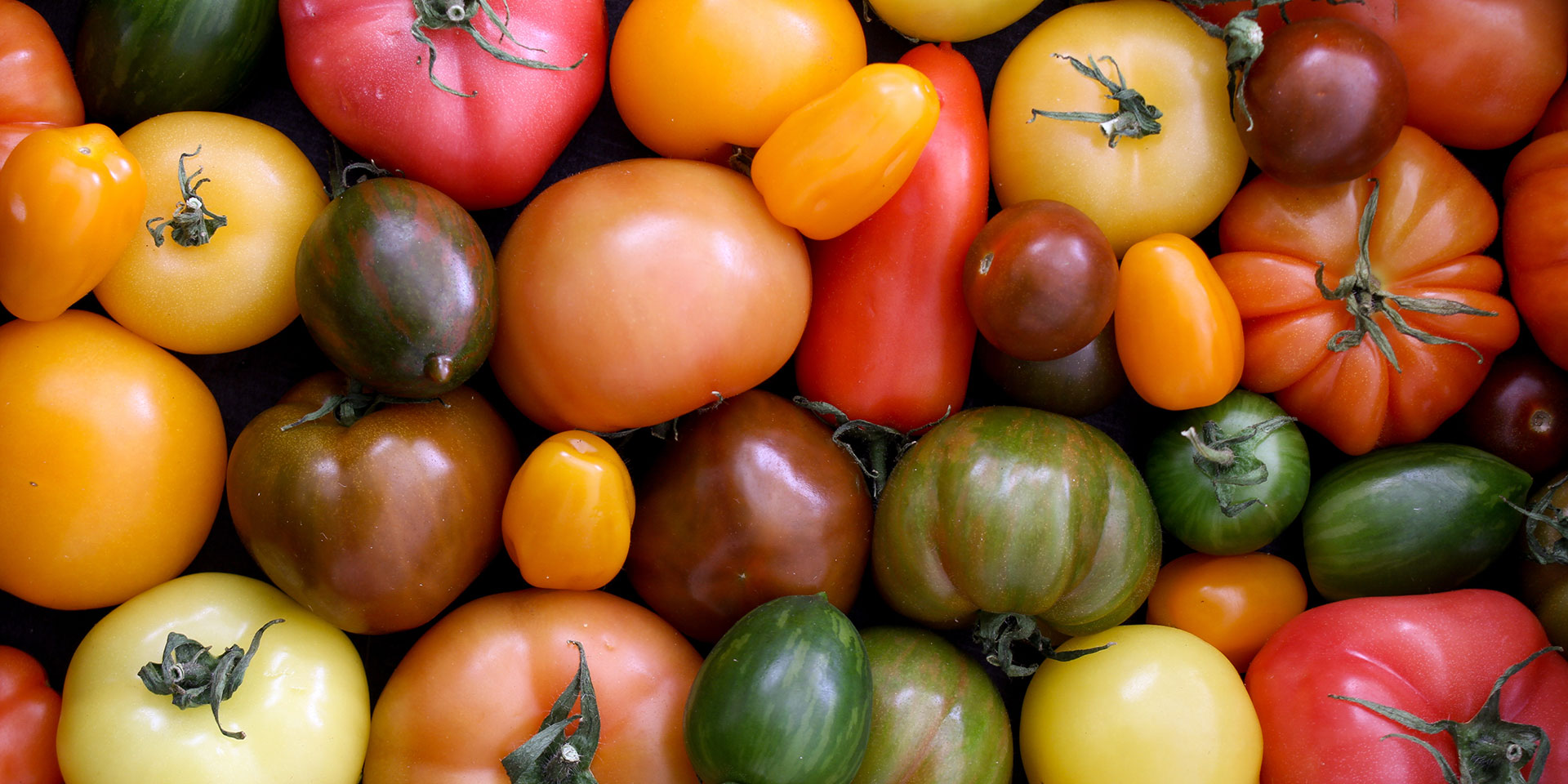 assortment of heirloom tomatoes