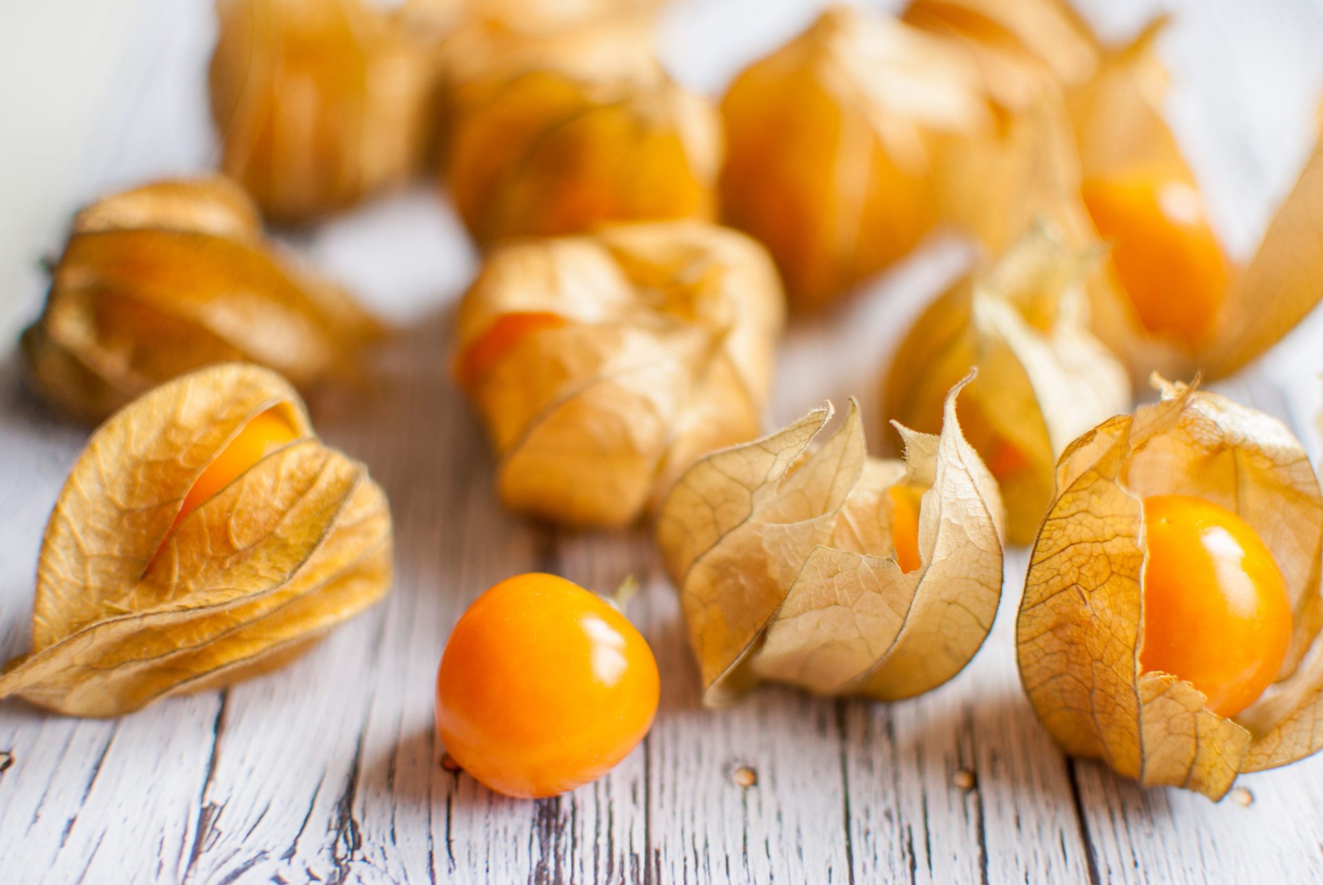 Ground Cherries