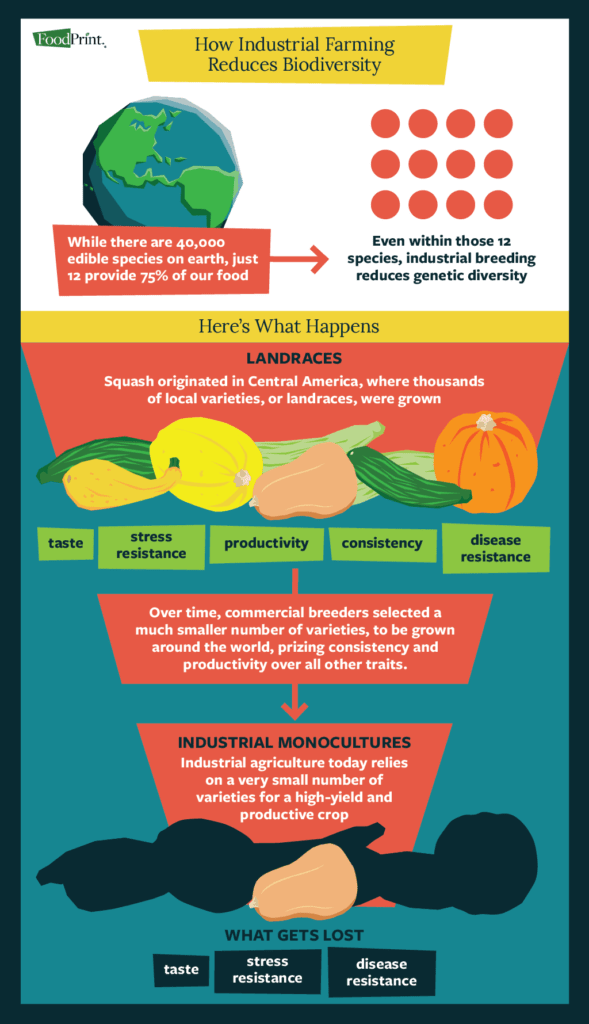 how industrial agriculture reduces biodiversity