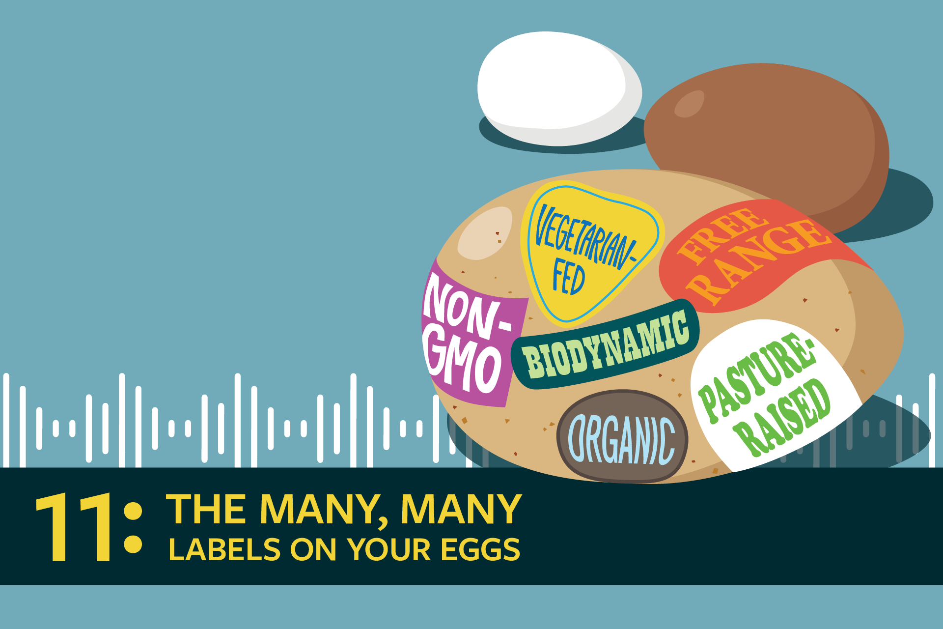 egg labels